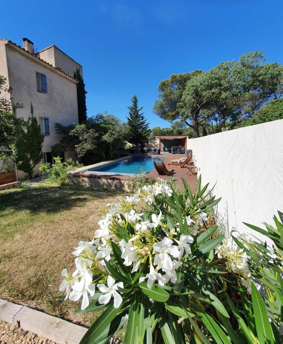 La Cigale Et La Fourmi Apartamento Nîmes Exterior foto